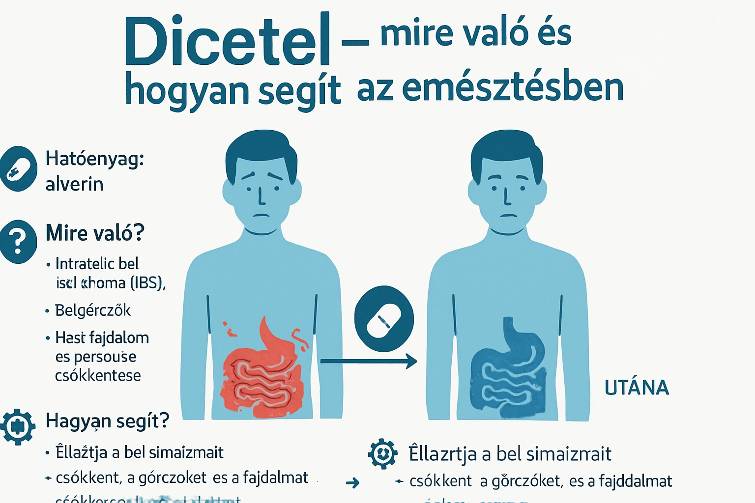 Dicetel – mire való, és hogyan segít az emésztésben 2 Két emberi figura, az egyik hasi fájdalmakkal, a másik egészséges emésztéssel.