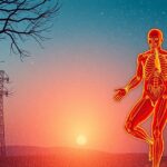 A melegfront hatásait bemutató emberi test ábra naplementében.