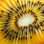 A kivi belseje, gazdag vitaminokban és antioxidánsokban.