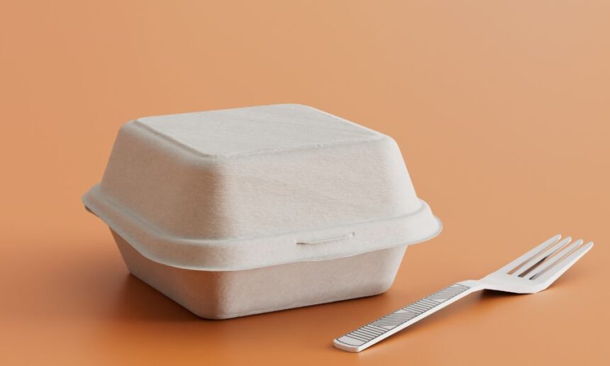 Műanyag egybefedeles elviteles doboz étkezési eszközzel